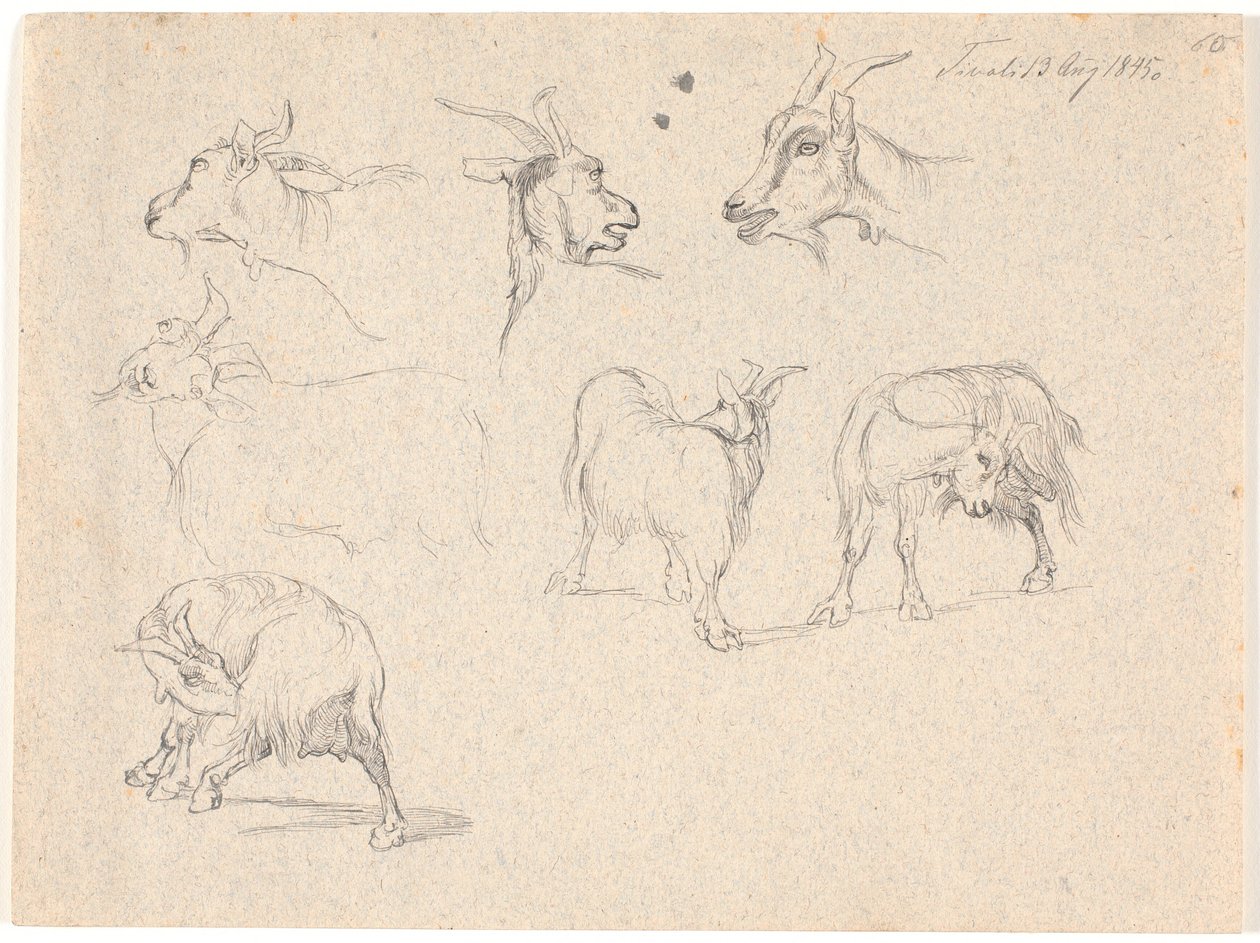 Estudios de cabras de Johan Thomas Lundbye