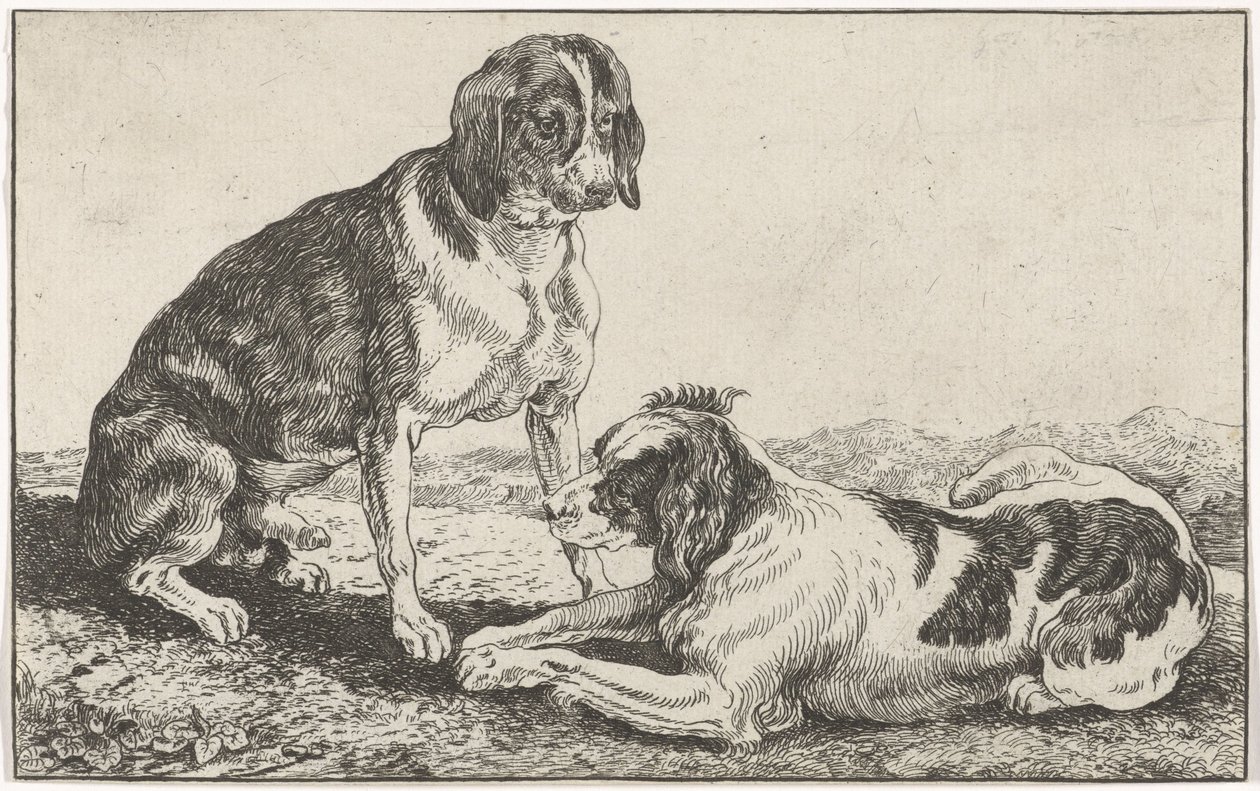 Dos perros de Johan le Ducq