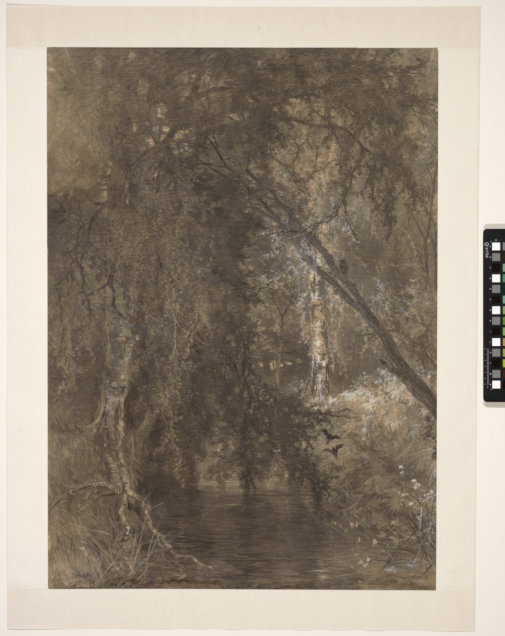 Vista en el Bosque con un pequeño arroyo, cerca de Wolfheze, Países Bajos de Johannes Warnardus Bilders