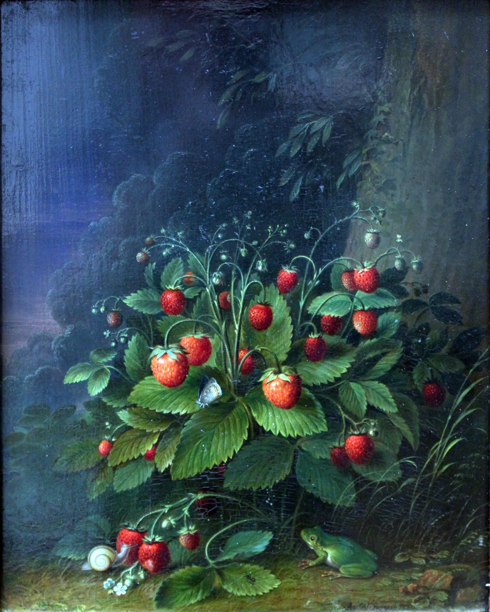 Fresas de Johann Adam Schlesinger