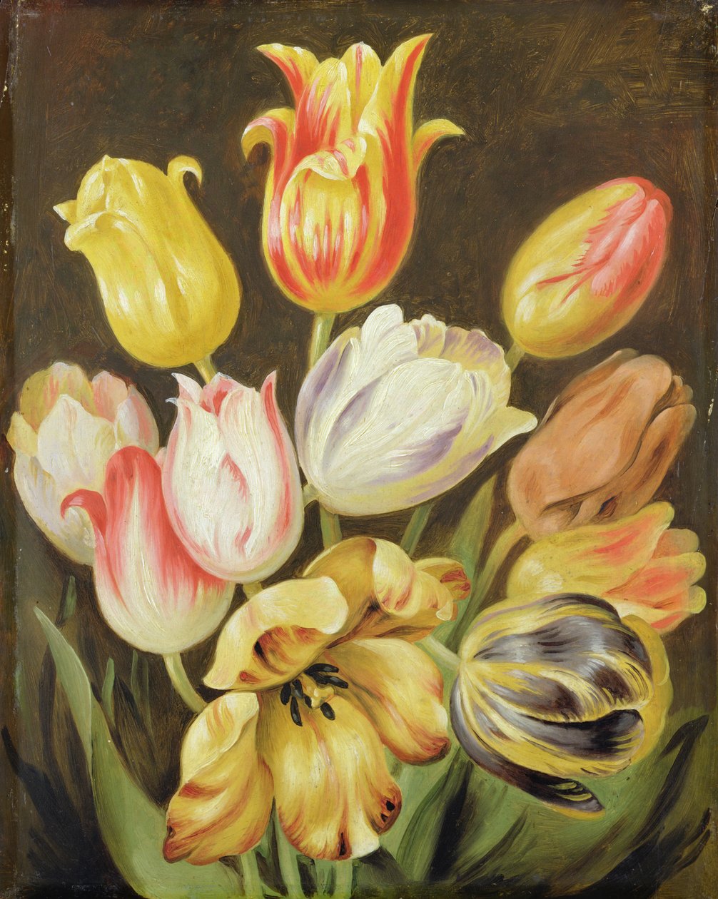 Estudio de flores de Johann Friedrich August Tischbein