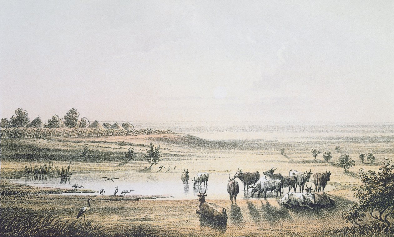 Las fronteras de Chad en 1851, de 