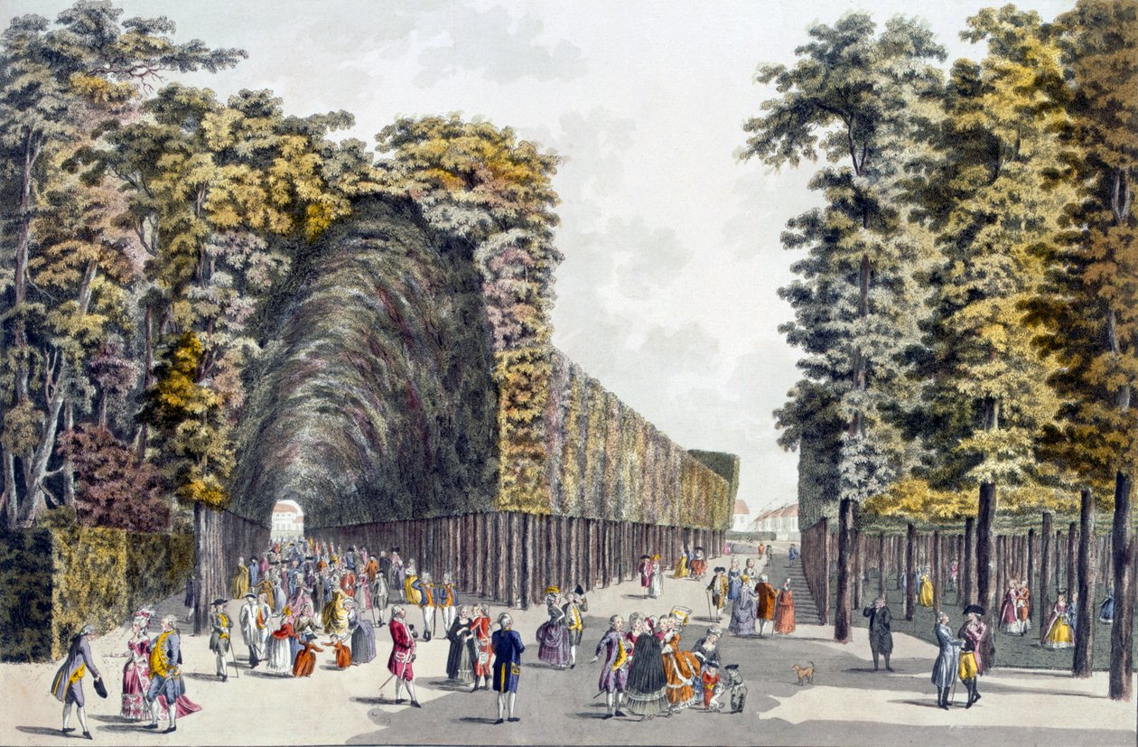 Paseo de Limegrove, Augarten, Viena, 1790s de Johann Ziegler