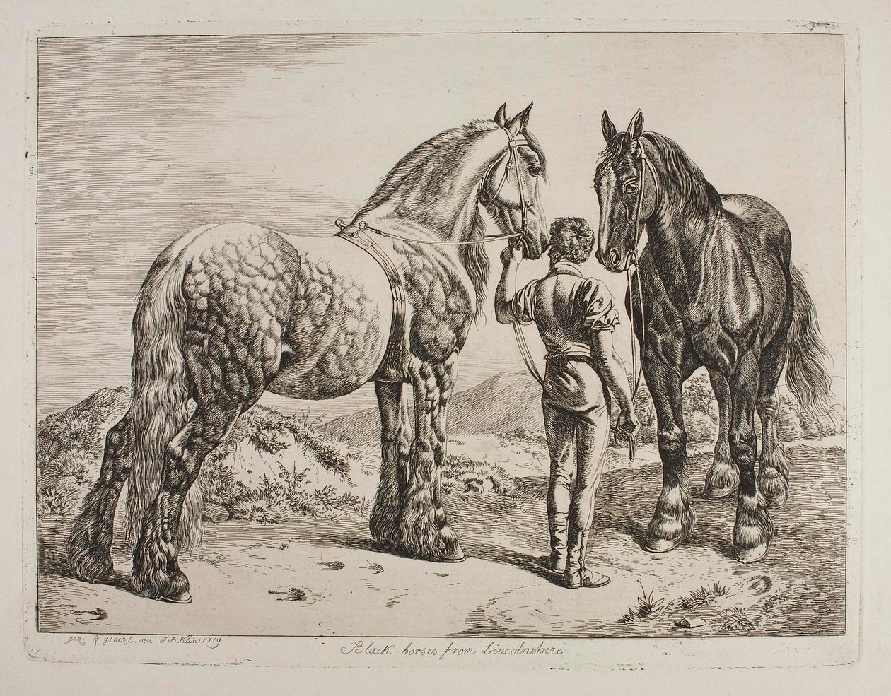 Los «Black-Horses» de Lincolnshire de Johann Adam Klein