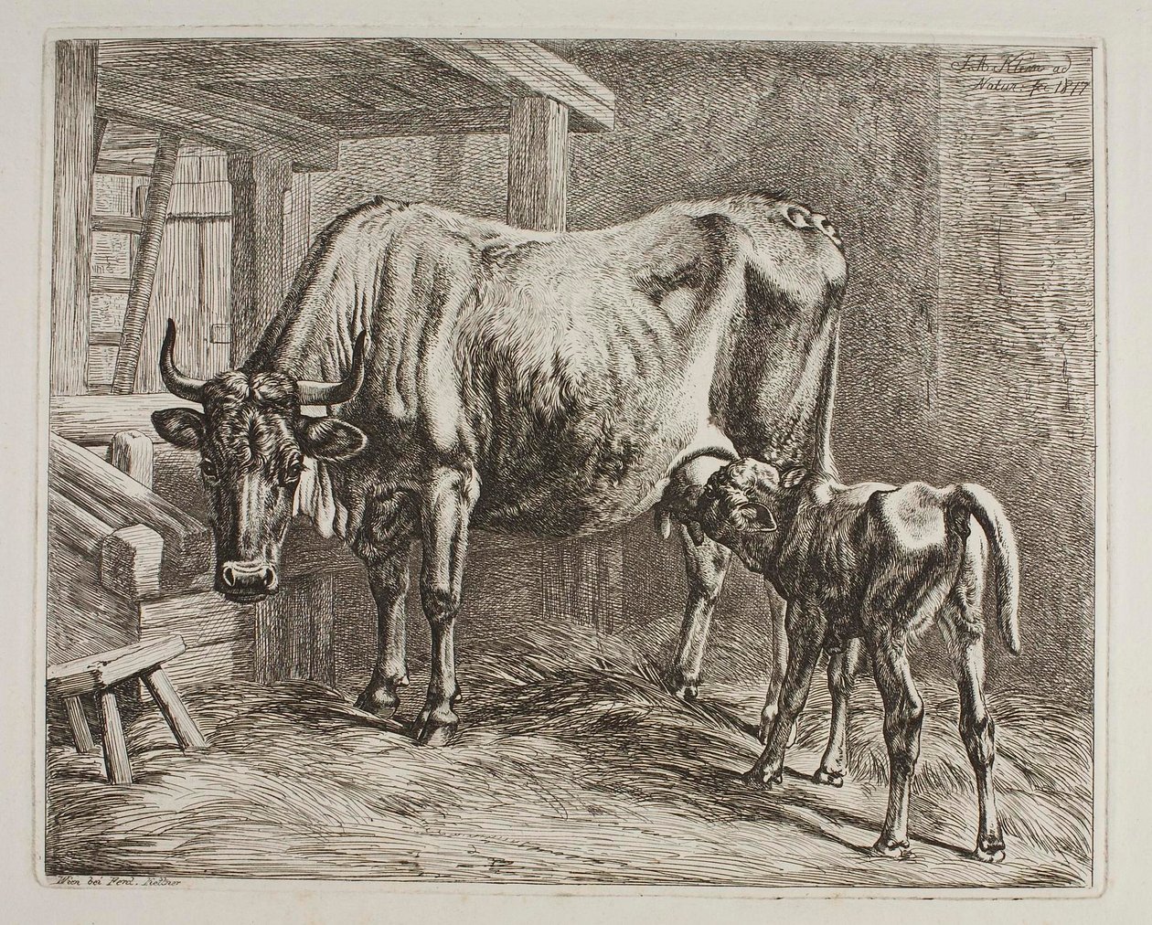 Vaca con ternero mamando de Johann Adam Klein