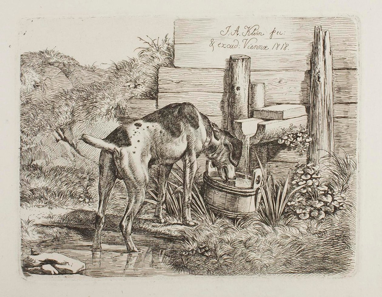 Agua para perros de Johann Adam Klein