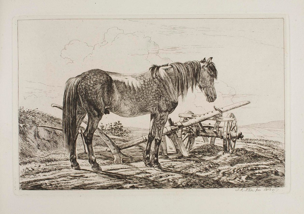 Caballo junto a un arado de Johann Adam Klein