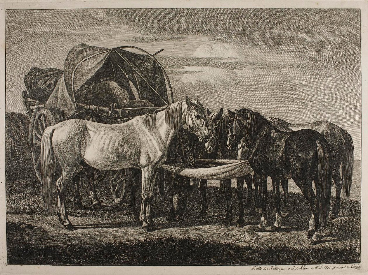 Caballos junto a un carro húngaro de Johann Adam Klein