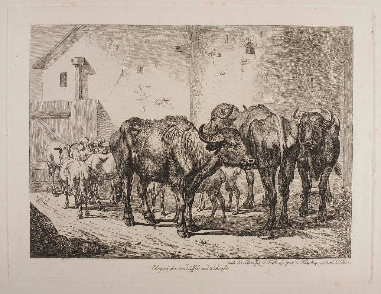 Búfalos y ovejas húngaros de Johann Adam Klein