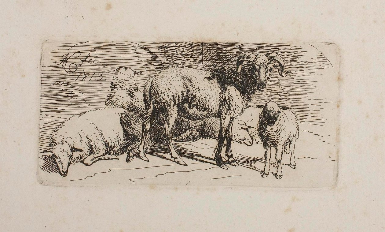Un carnero, tres ovejas y un cordero de Johann Adam Klein