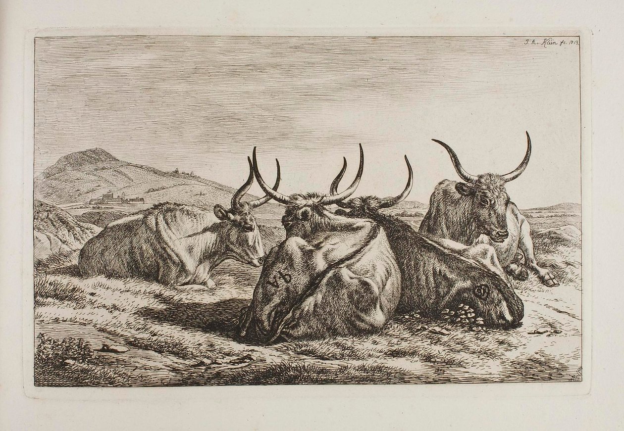 Bueyes recostados de Johann Adam Klein