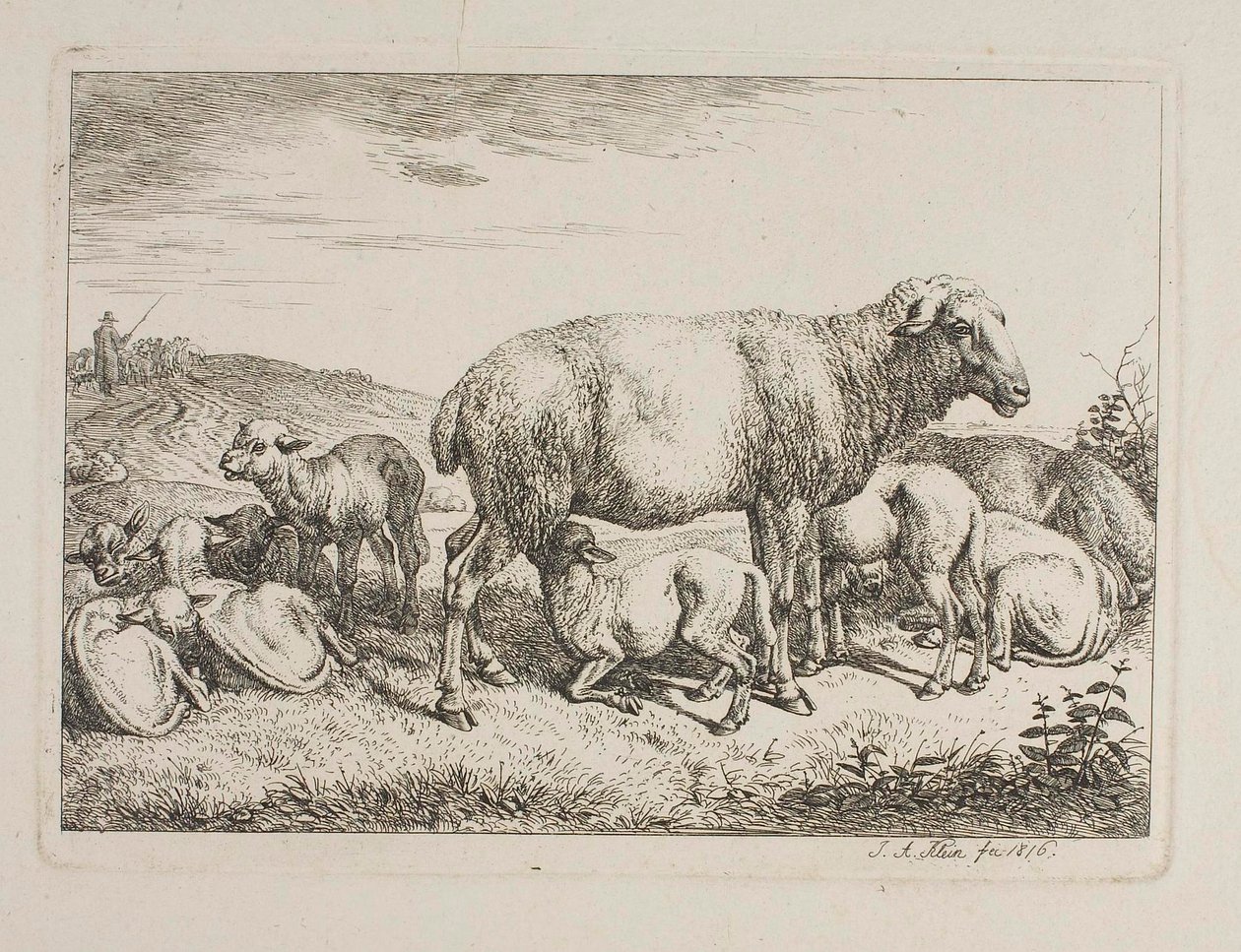 Ovejas con corderos de Johann Adam Klein