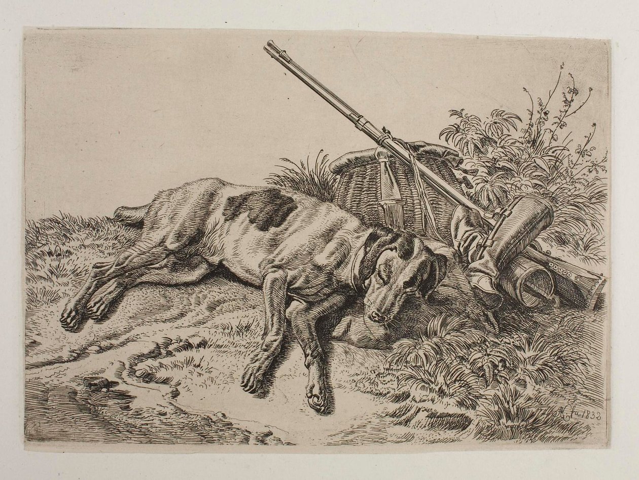Perro dormido de Johann Adam Klein