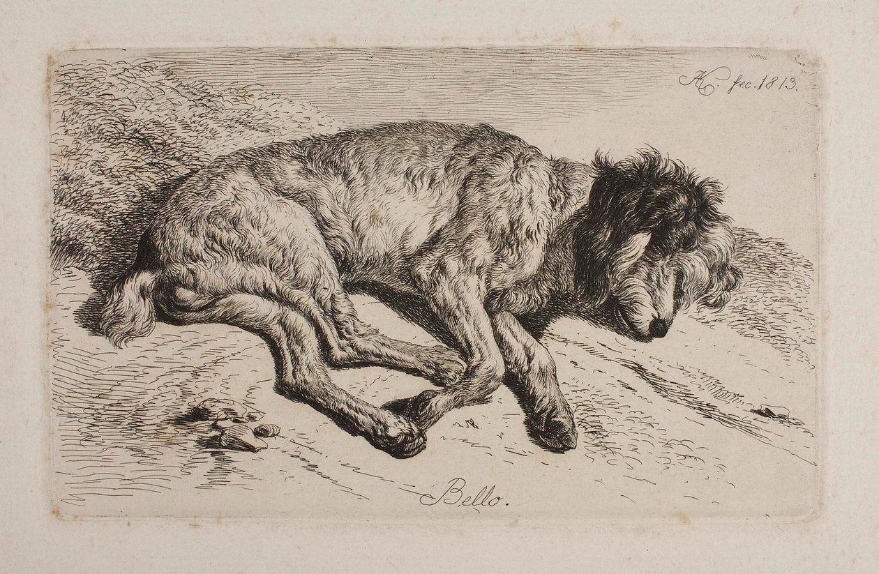 Perro dormido, Bello de Johann Adam Klein