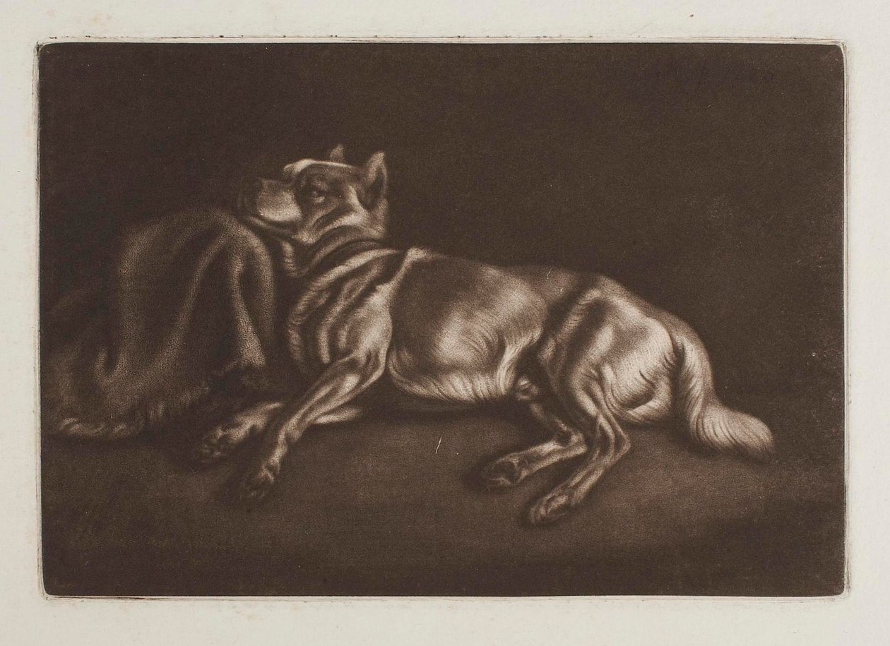 Perro de tipo spitz de Johann Adam Klein