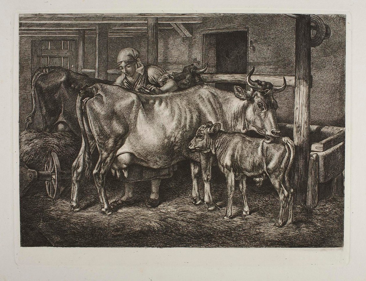 Las vacas aseadas de Johann Adam Klein