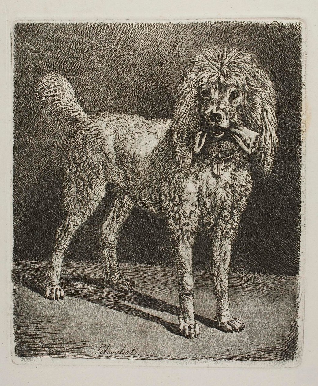 El caniche Schwalerl de Johann Adam Klein