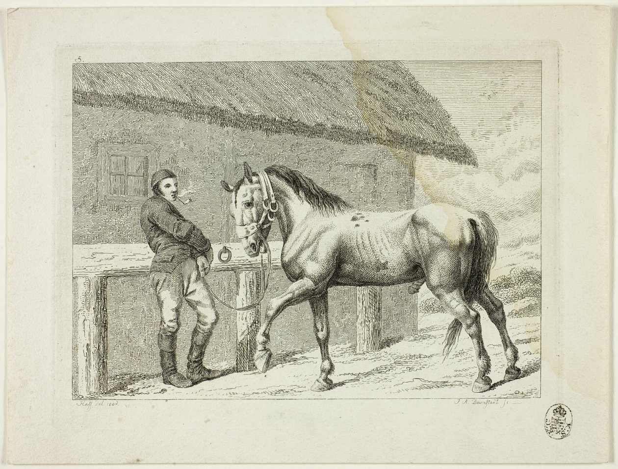 Escuela de equitación y caballos de Johann Adolph Darnstedt