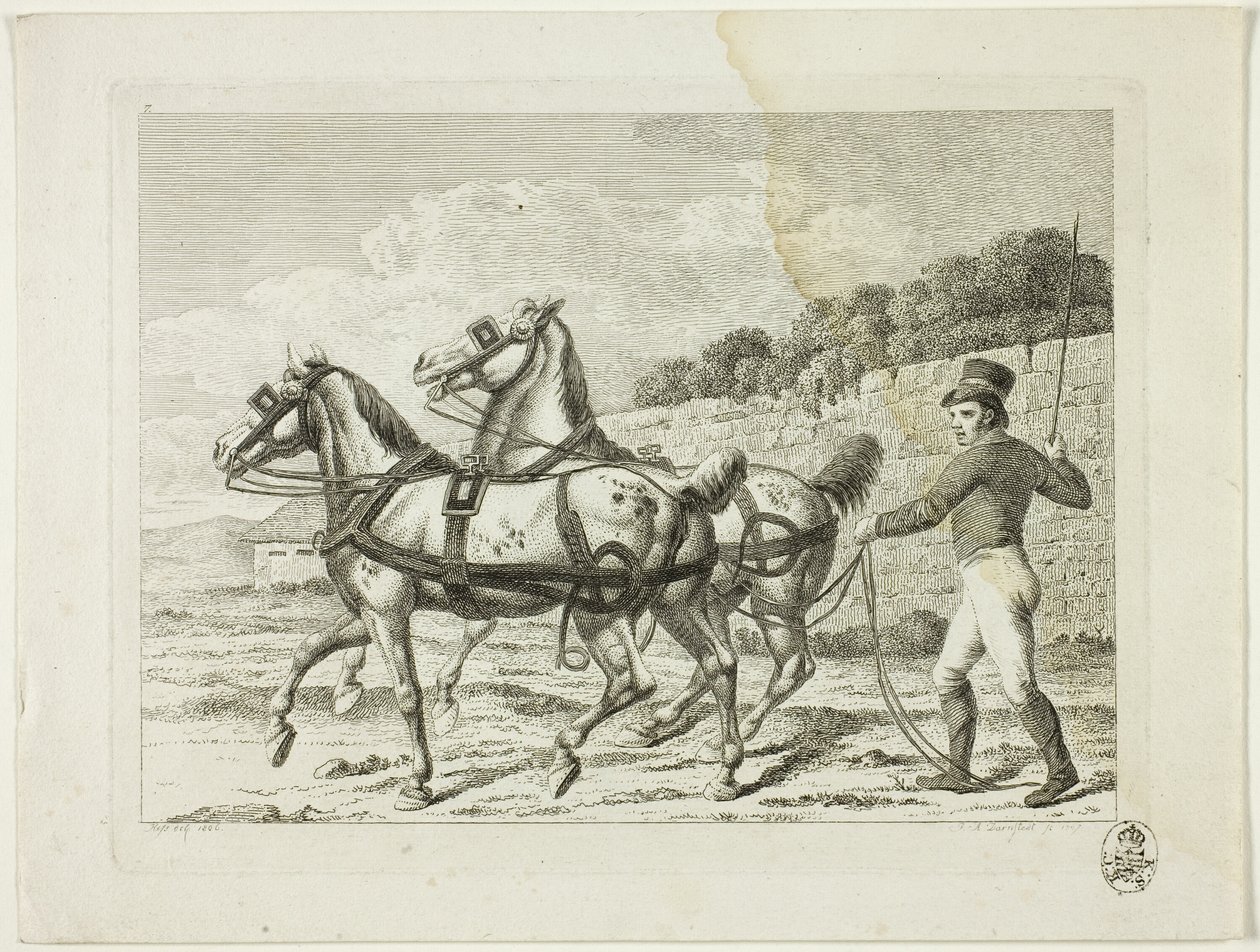 Escuela de equitación y caballos de Johann Adolph Darnstedt