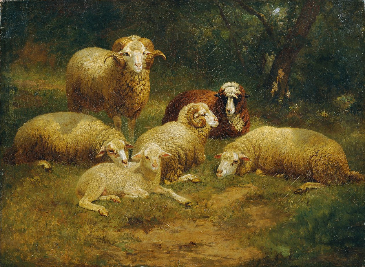 oveja de Johann Baptist Hofner