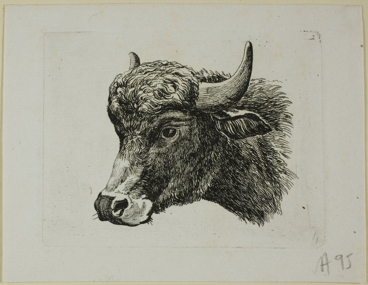 Cabeza de búfalo mirando a la izquierda, de Die Zweite Thierfolge de Johann Christian Reinhart