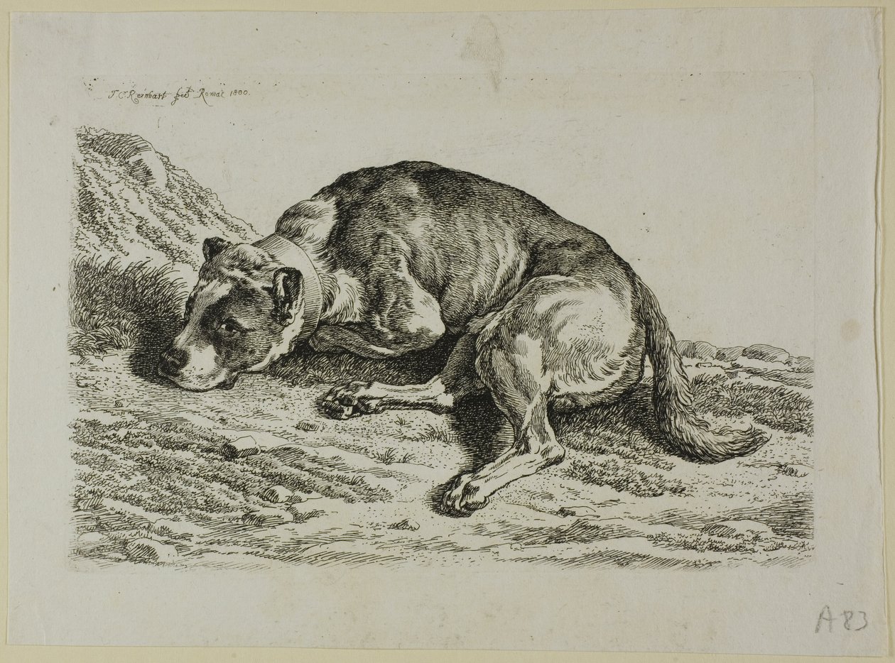 Perro acostado, de Die Zweite Thierfolge de Johann Christian Reinhart