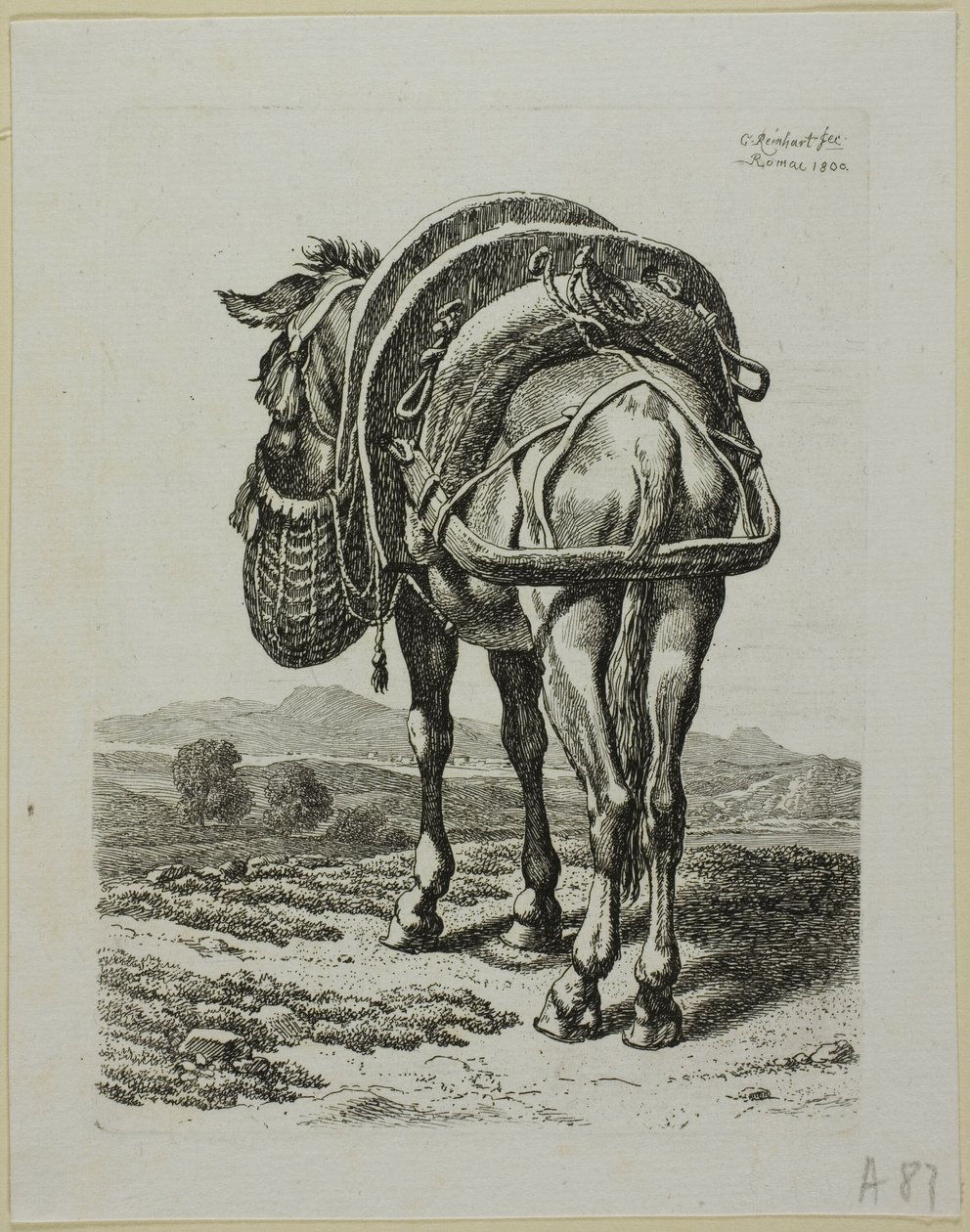 Mula alimentándose - Parte trasera, de Die Zweite Thierfolge de Johann Christian Reinhart