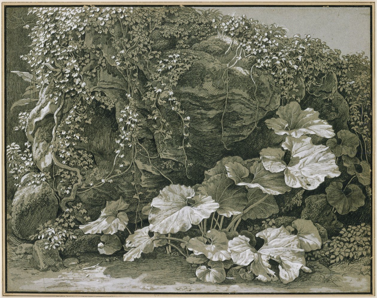 Plantas de hojas grandes junto a una gruta rocosa cubierta de hiedra de Johann Christian Reinhart