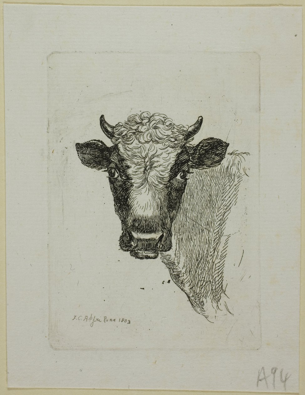 Cabeza de un Toro Joven, de Die Zweite Thierfolge de Johann Christian Reinhart
