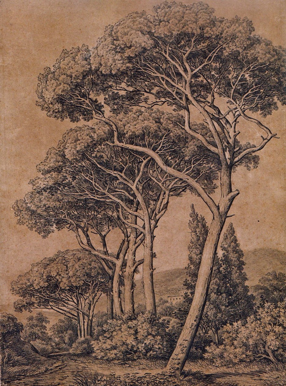 J C Reinhart Pinos paraguas 1791 de Johann Christian Reinhart