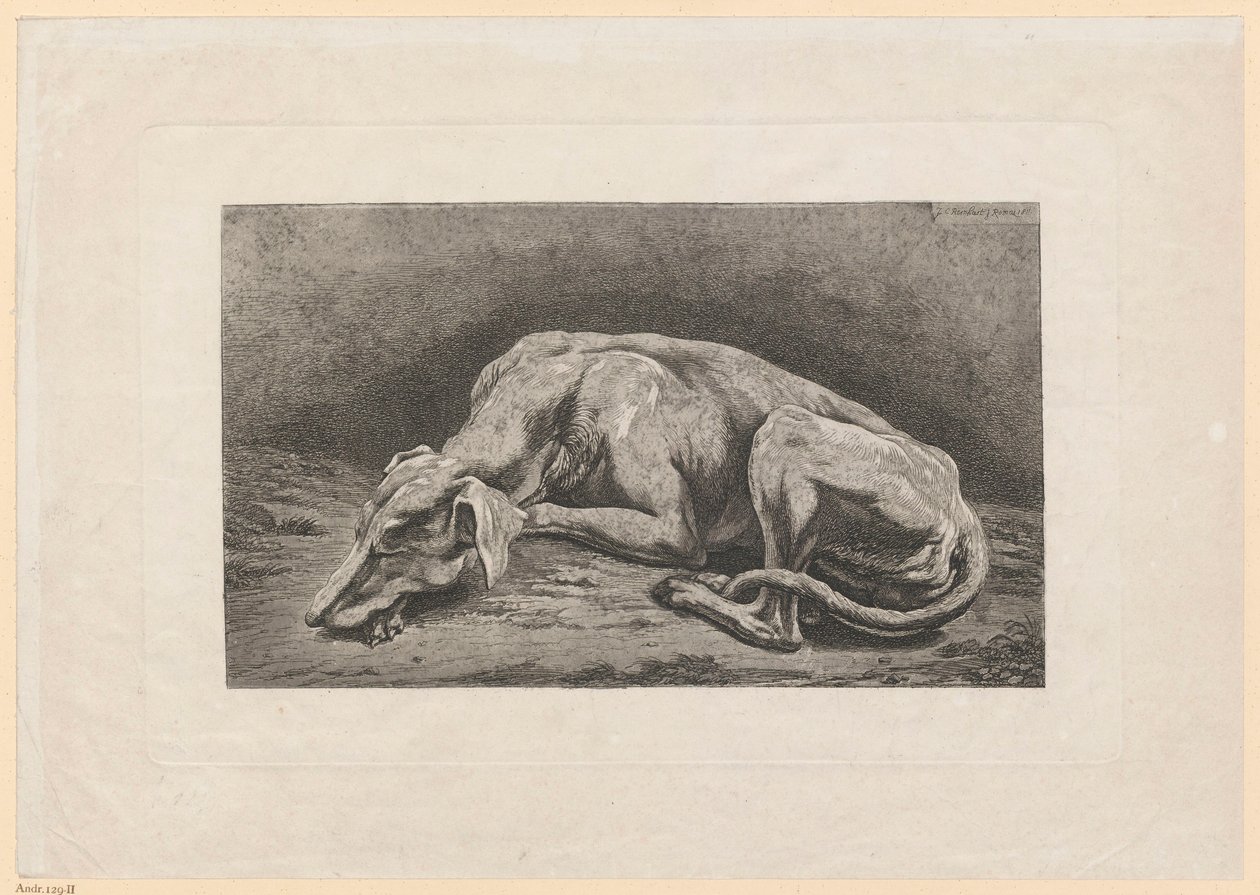 Galgo dormido de Johann Christian Reinhart