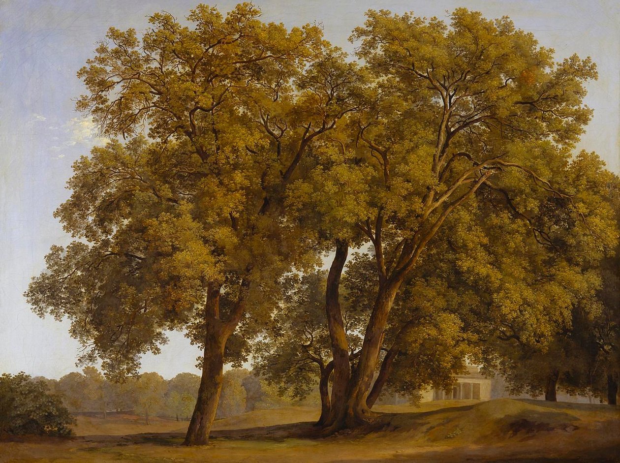 Árboles de los jardines de Villa Borghese de Johann Christian Reinhart