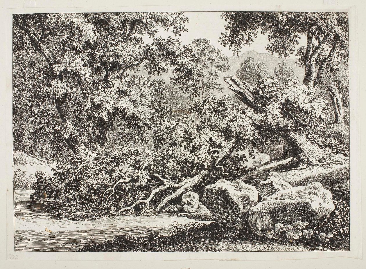 Escena forestal con un roble partido de Johann Christian Reinhart