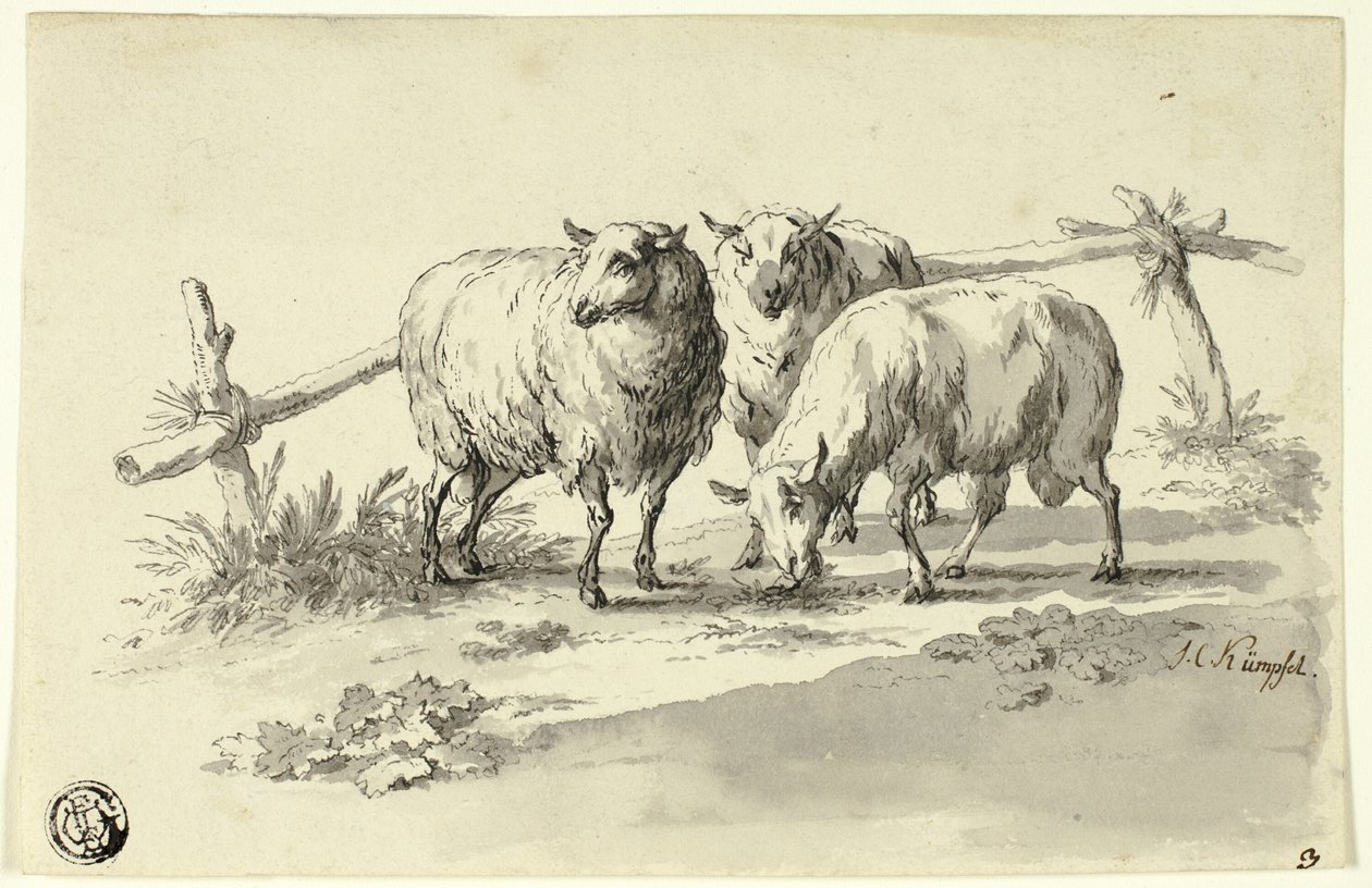 Ovejas de Johann Christoph Kimpfel