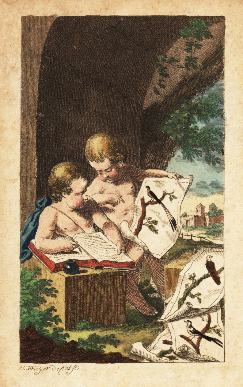 Dos jóvenes ornitólogos estudian las huellas de las aves de Johann Conrad Kruger