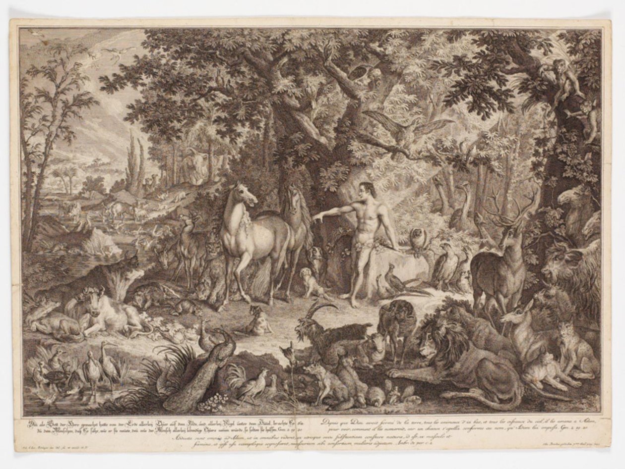 Adán da nombre a los animales de Johann Elias Ridinger