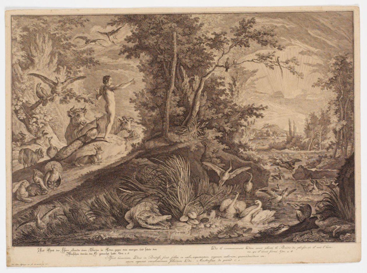 Adán en el jardín del Edén de Johann Elias Ridinger