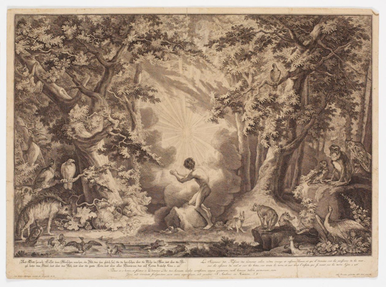 La Creación de Adán de Johann Elias Ridinger
