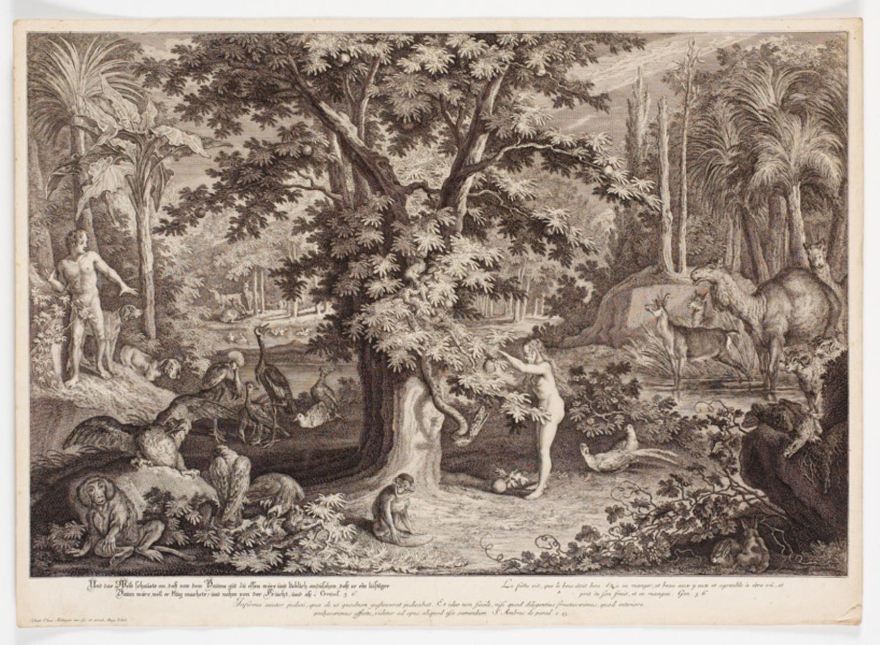 Eva recoge la manzana del árbol del conocimiento de Johann Elias Ridinger
