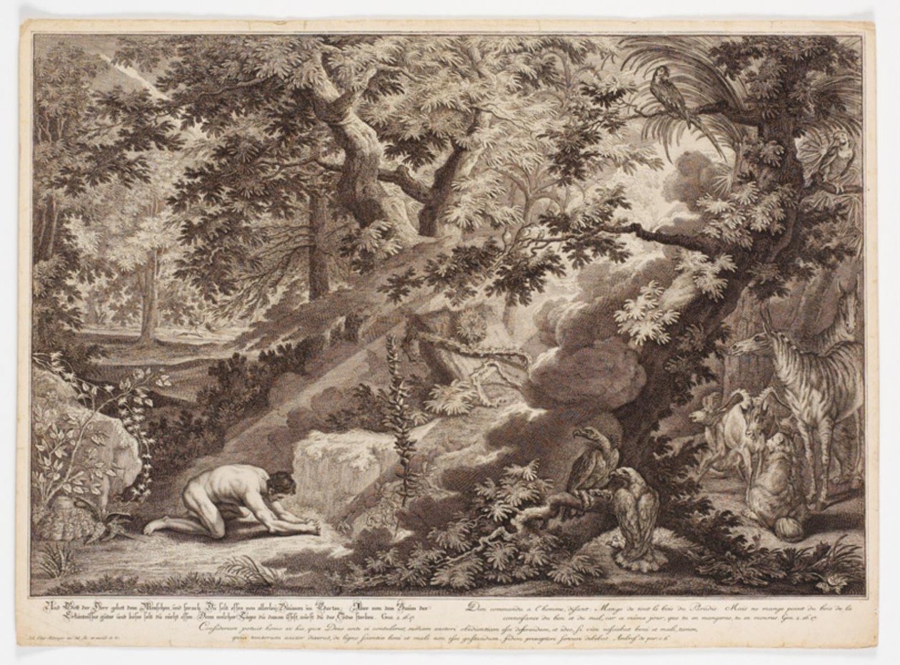 Dios prohíbe a Adán comer del árbol del conocimiento de Johann Elias Ridinger