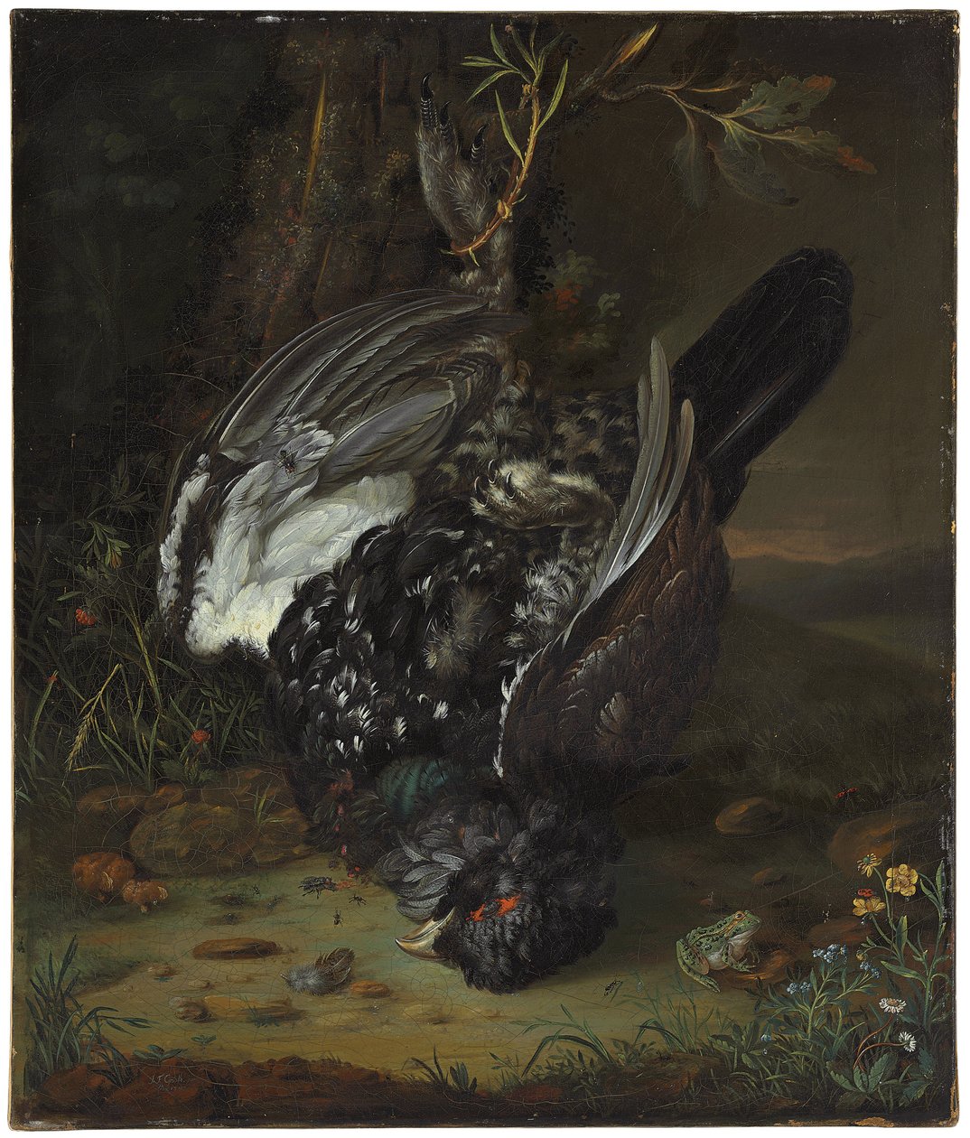 Un gallo negro en un paisaje boscoso, 1747 de Johann Friedrich von Grooth