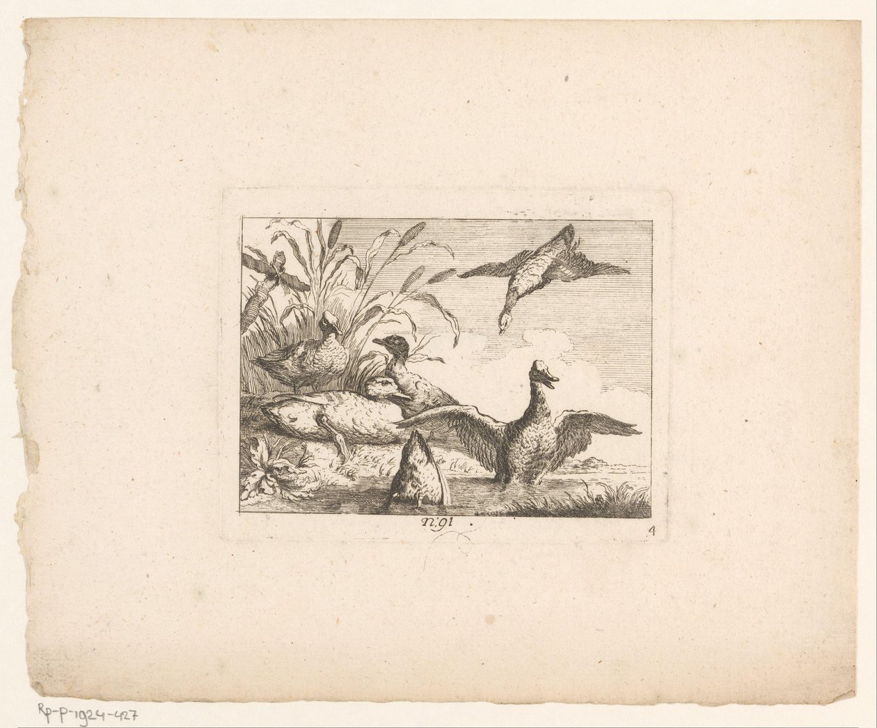 Paisaje con seis patos
Aves en paisajes (título de la serie) de Johann Georg Hertel (I) (possibly)