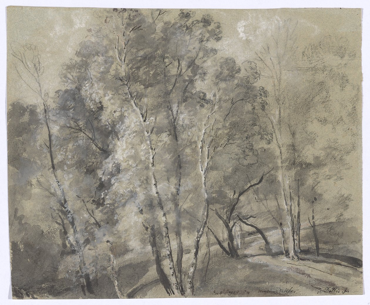Árboles de hoja caduca en la ladera de Johann Georg von Dillis