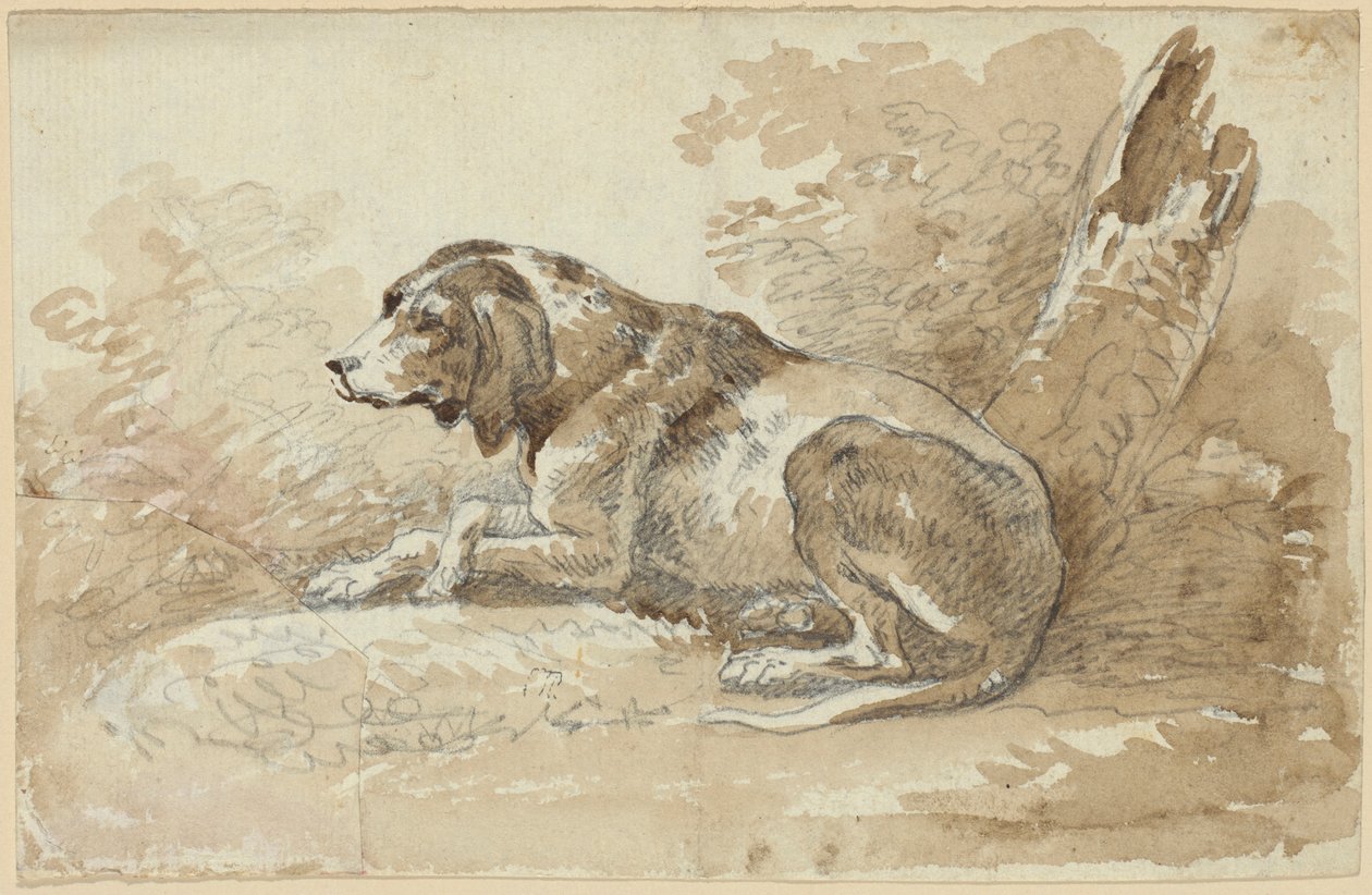 Dos estudios con perros de Johann Georg von Dillis
