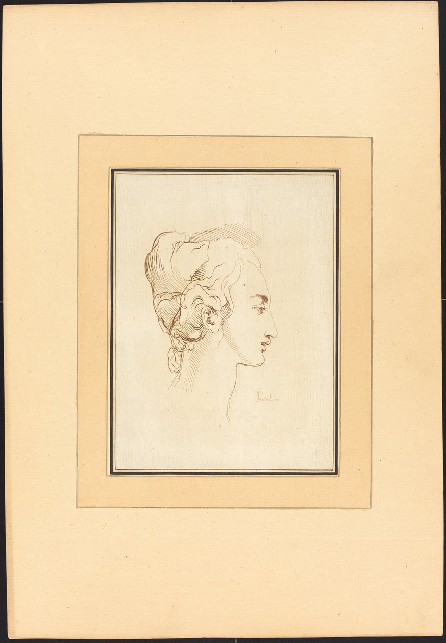 Cabeza de una mujer de Johann Gottlieb Prestel after Guercino