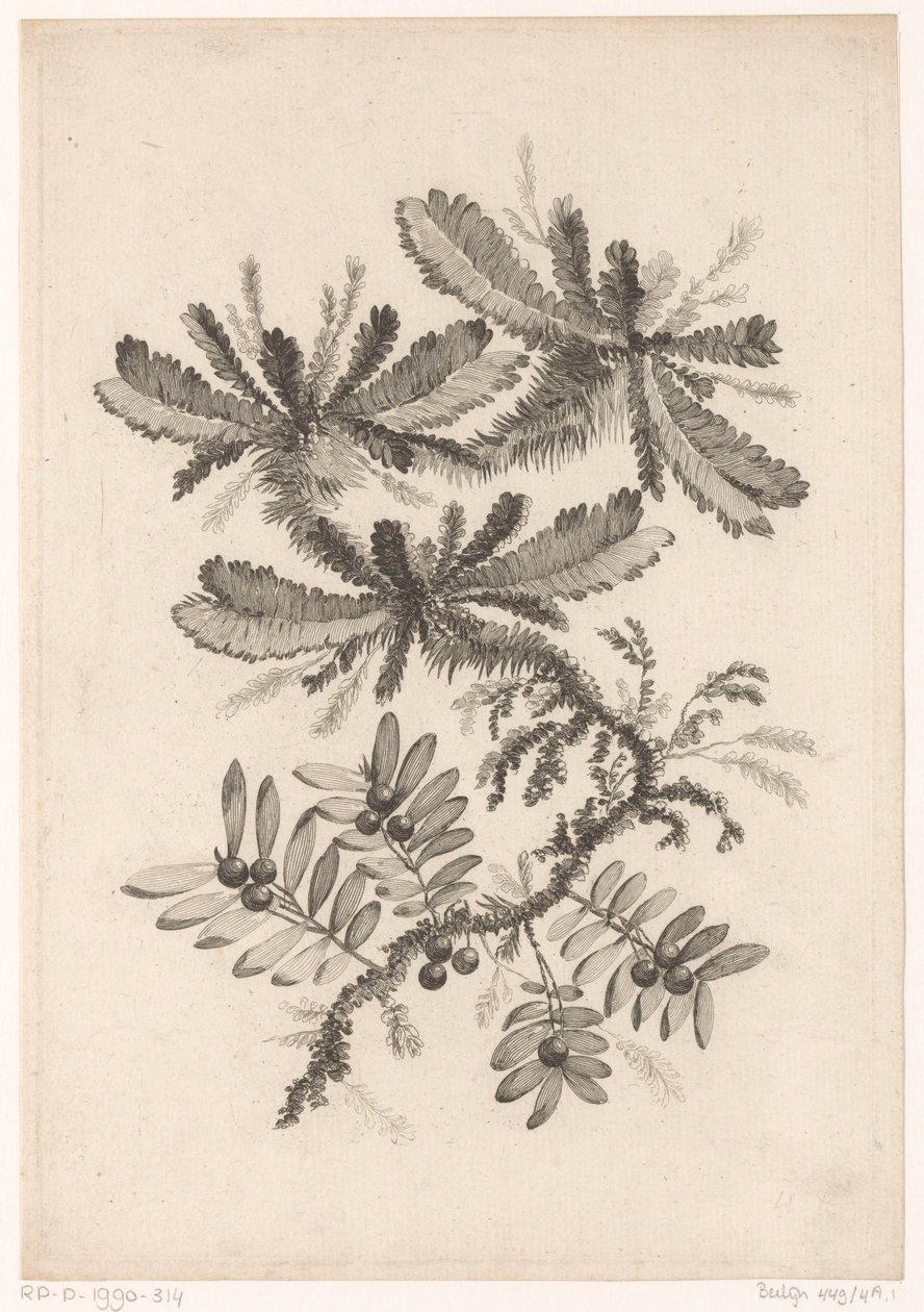 Toma de contacto con el aire
Recueil De Nouvelles Fleurs De Goût; Pour la Manufacture des Etoffes de Perse (título de la serie) de Johann Heinrich  Hess