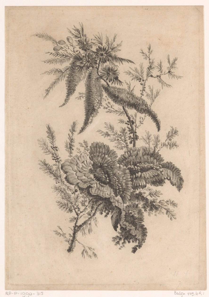 Wilde roosachtigen
Recueil De Nouvelles Fleurs De Goût; Pour la Manufacture des Etoffes de Perse (título de la serie) de Johann Heinrich  Hess