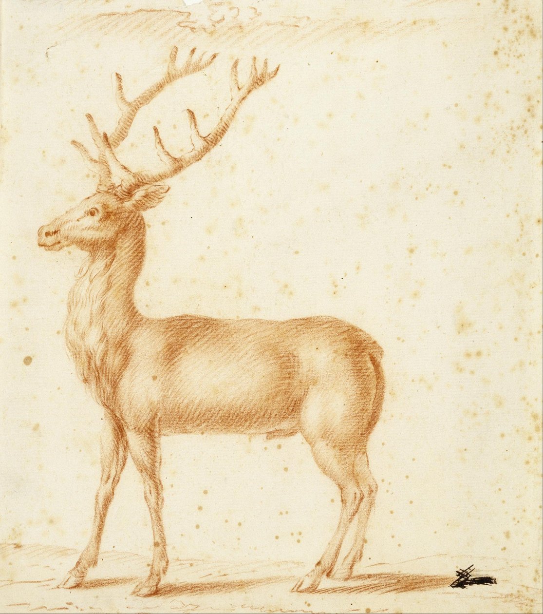 Un ciervo de Johann Heinrich Roos