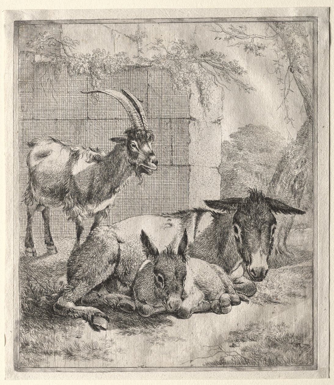 Cabra y burros de Johann Heinrich Roos