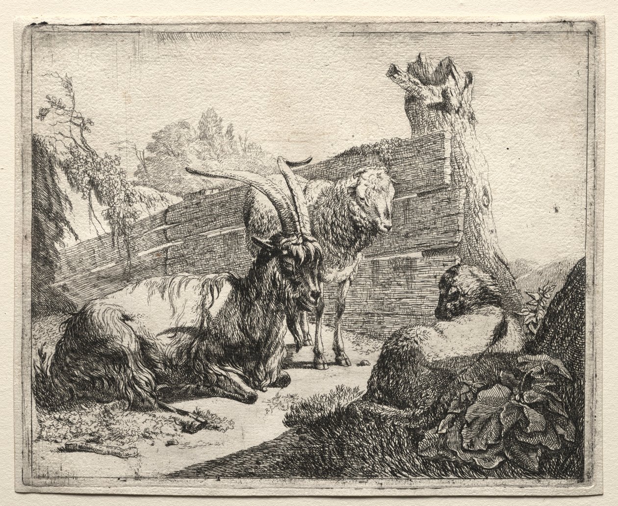 El Seto, 1665 de Johann Heinrich Roos
